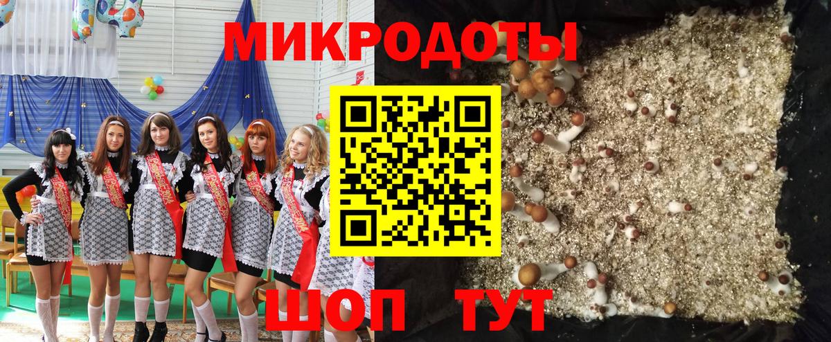 Галлюциногенные грибы мицелий  Вход с VPN  Муром  Галлюциногенные грибы прущие грибы 
